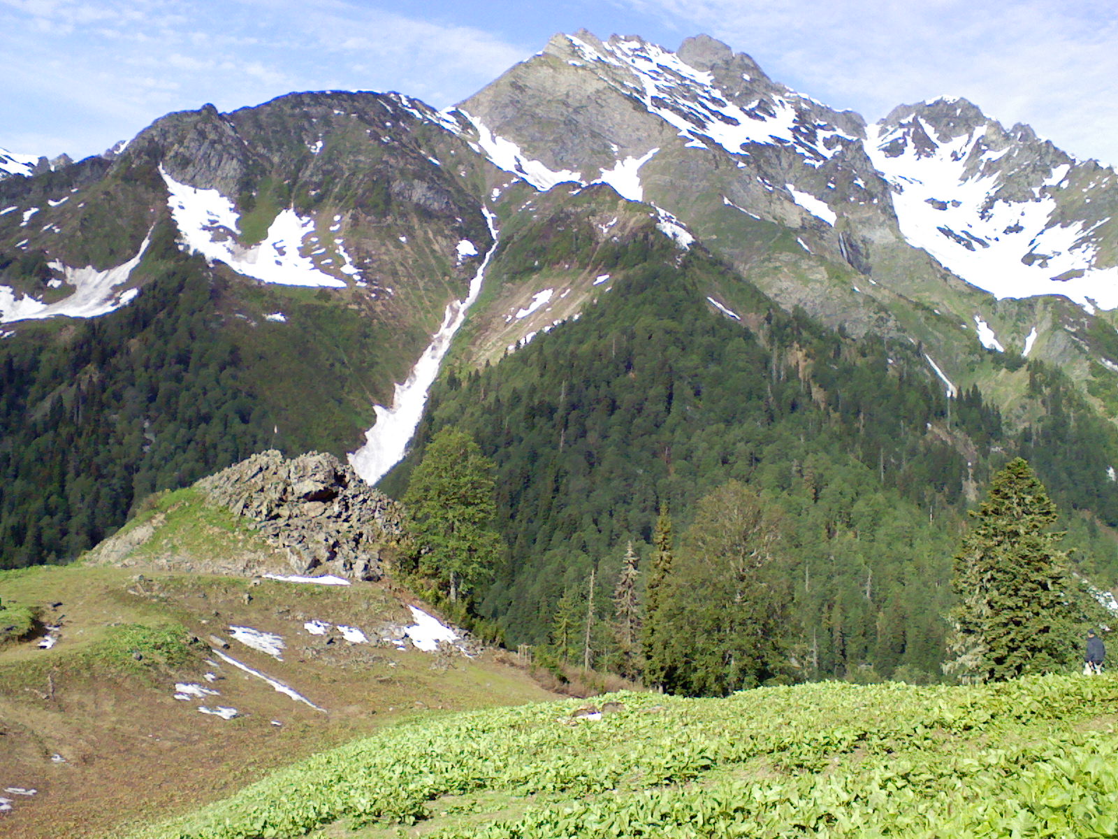 Lebarde